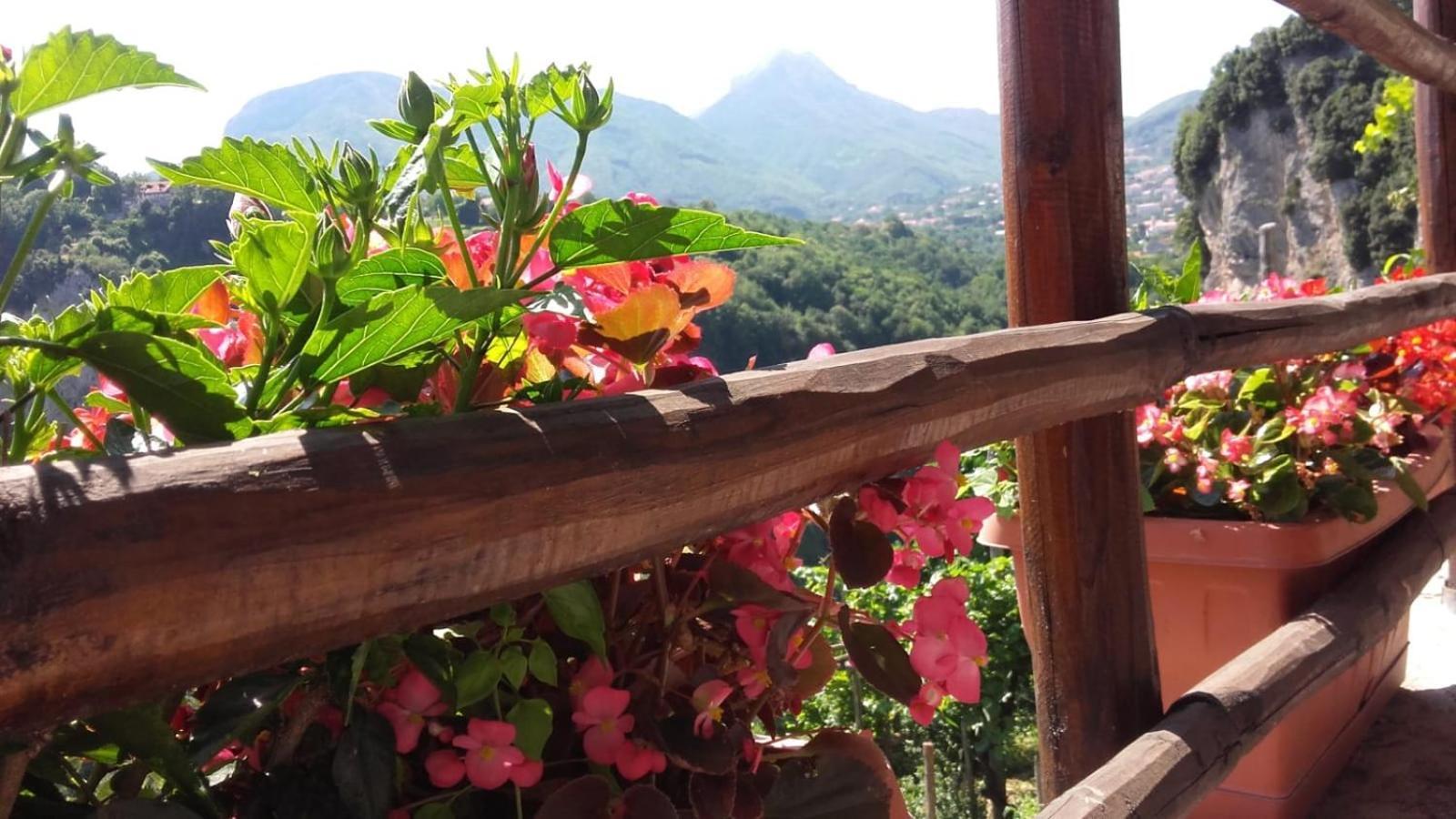 Agriturismo Orrido Di Pino Agerola Exterior photo