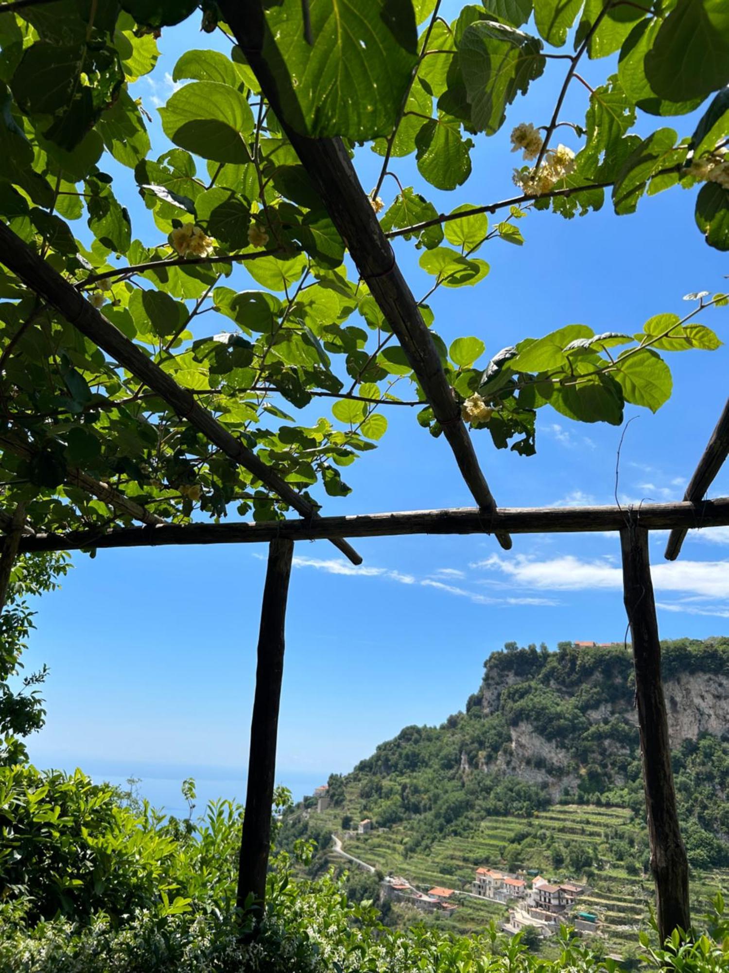 Agriturismo Orrido Di Pino Agerola Exterior photo