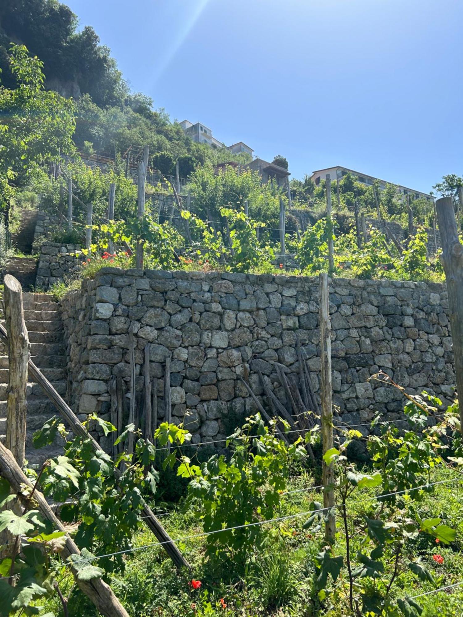 Agriturismo Orrido Di Pino Agerola Exterior photo